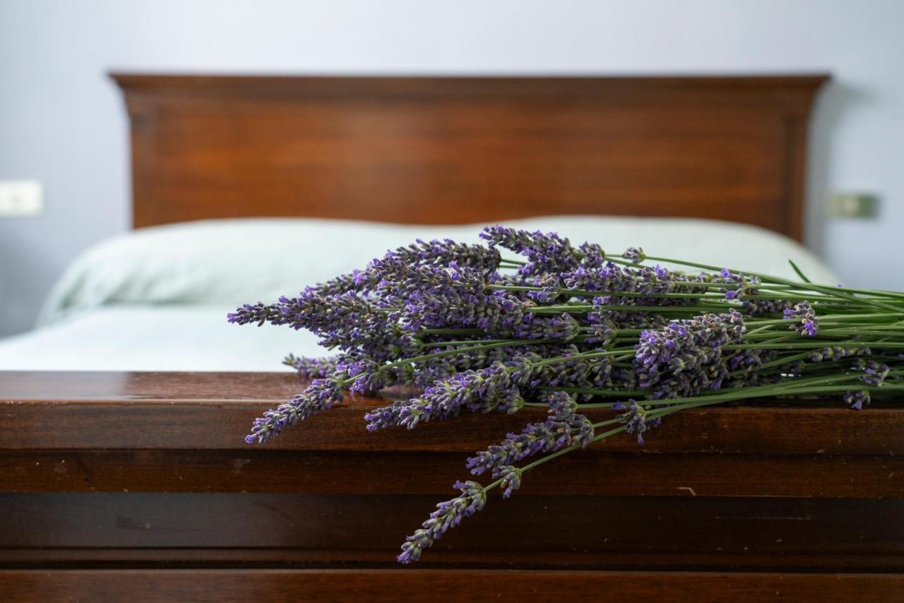 Lago Maggiore A 10 Minuti "Cascina Lavanda" Casalzuigno Esterno foto