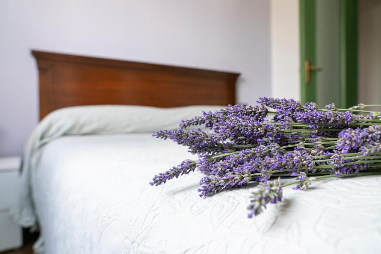 Lago Maggiore A 10 Minuti "Cascina Lavanda" Casalzuigno Esterno foto
