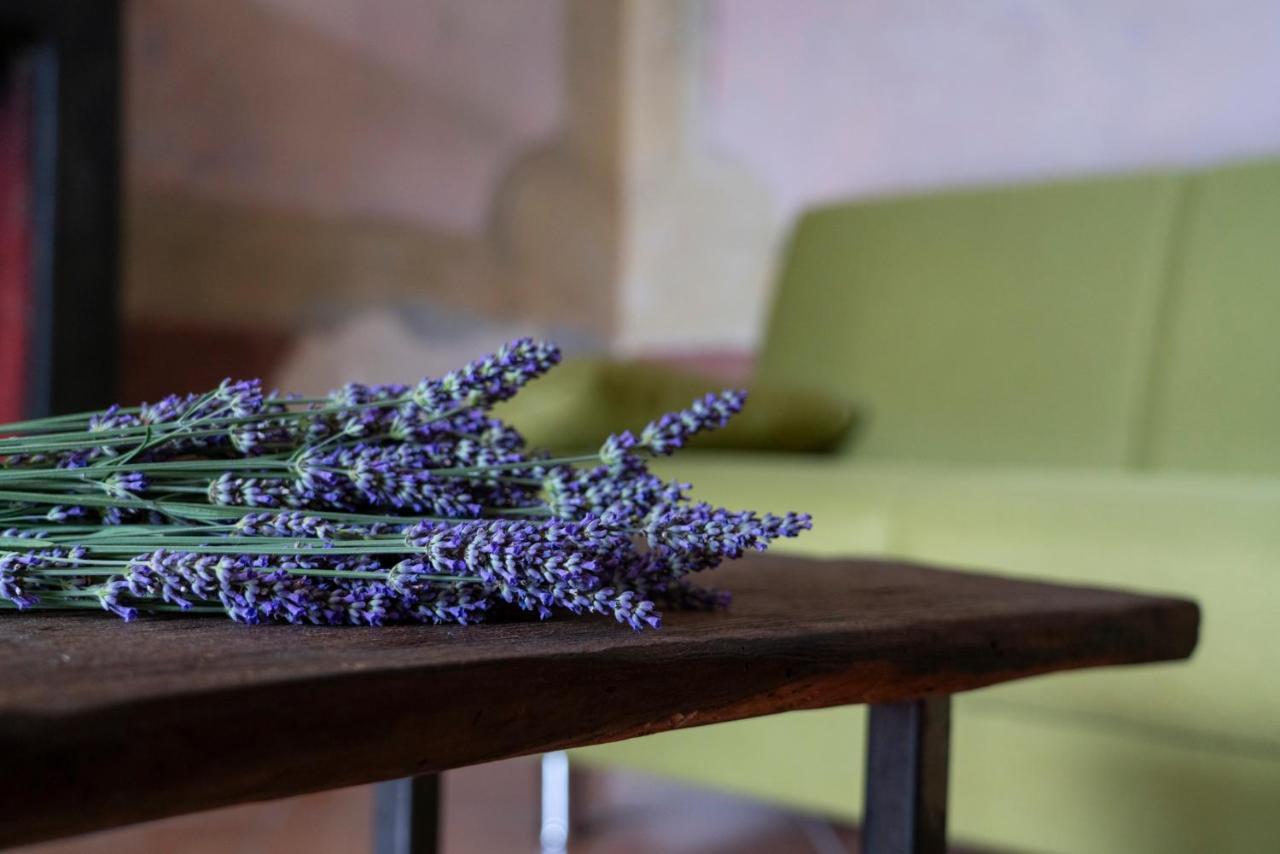 Lago Maggiore A 10 Minuti "Cascina Lavanda" Casalzuigno Esterno foto